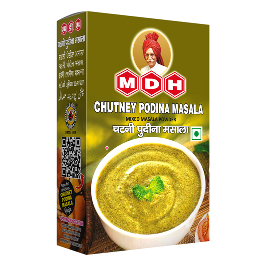 CHUTNEY PODINA MASALA