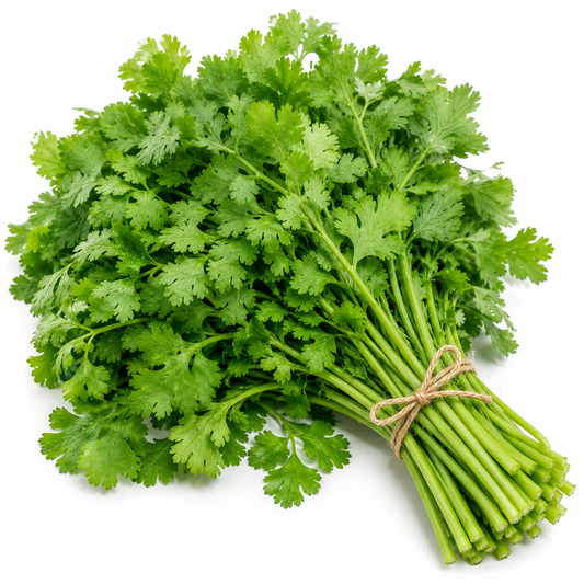 Fresh Dhone Pata / Coriander Leaves (ধনে পাতা)